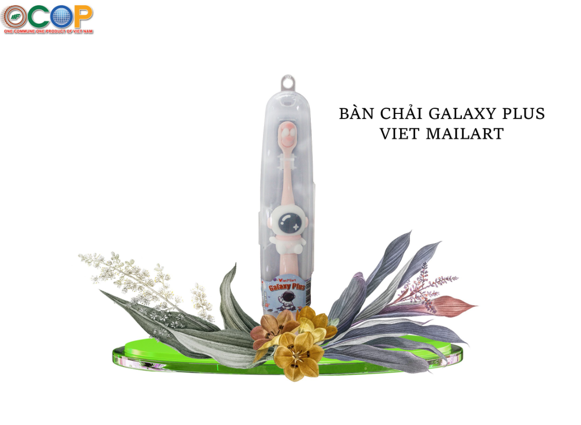 Bàn chải galaxy  Chiếc